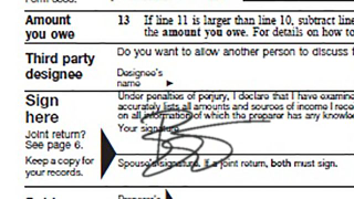 Illustration for article titled 7 David Bowie Pics That Are So Impossibly Cool They Need To Be Offset With Tax Forms